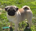 c040a874-f311-4a29-869f-a15665e46ff5