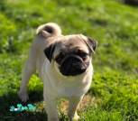 e0e7a5b3-3a4d-40d0-89c2-c540dda7efd3