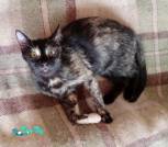 IMG_20240409_114538_ок