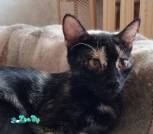 IMG_20240409_115035_ок