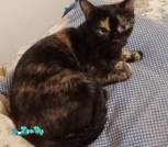 IMG_20260413_024337_ок