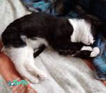 IMG_20260208_142725х