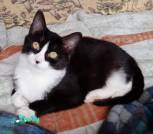 IMG_20260208_144050х