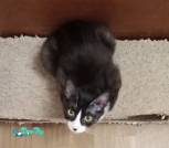 IMG_20260413_034757_cr