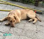 изображение_viber_2026-05-25_08-59-45-476