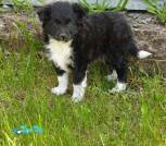 IMG_20260526_125218_717