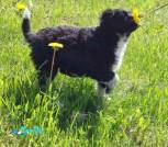 IMG_20260526_125218_781