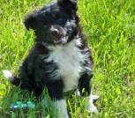 IMG_20260526_125219_038
