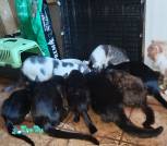 IMG_20260609_113912_029
