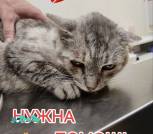 IMG_20260609_113912_507