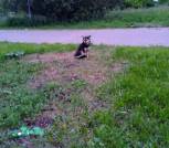 изображение_viber_2026-06-12_18-03-12-187