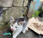 IMG-df8569b13ddce6c7642a45ec0d24de5c-V