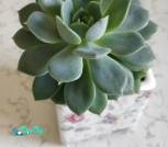 изображение_viber_2026-07-13_17-38-47-29117