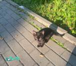 изображение_viber_2026-08-11_21-02-36-117 copy
