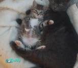 IMG_20260816_134214