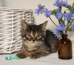 изображение_viber_2026-08-31_15-53-40-807