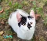 изображение_viber_2026-08-26_15-23-06-541