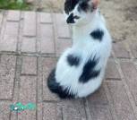 изображение_viber_2026-08-26_15-23-07-339