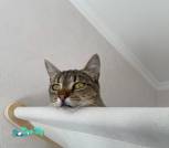 изображение_viber_2026-08-15_14-50-49-763