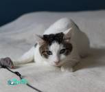 изображение_viber_2025-08-27_20-25-04-348