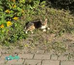 изображение_viber_2026-08-28_10-14-42-748