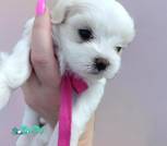 изображение_viber_2026-09-08_14-10-41-676