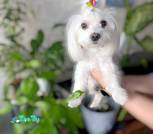 изображение_viber_2026-09-08_15-39-53-193