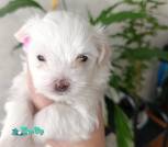 изображение_viber_2026-09-11_09-43-25-653