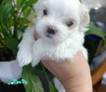 изображение_viber_2026-09-11_10-17-33-533