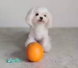 изображение_viber_2026-09-08_15-35-23-934