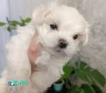 изображение_viber_2026-09-16_09-25-05-105