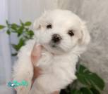 изображение_viber_2026-09-16_09-25-05-176