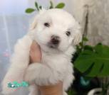 изображение_viber_2026-09-16_09-25-22-959
