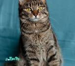 IMG_20260918_221712_925