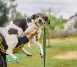 Screenshot_20260919_093148_Samsung Browser