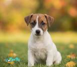 IMG_5648