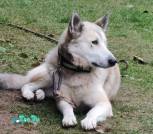 изображение_viber_2026-10-19_12-21-09-239