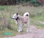 изображение_viber_2026-10-19_12-21-10-052