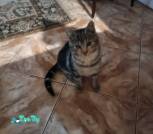 IMG_20261028_080524